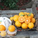 무릉외갓집영농조합법인 이미지