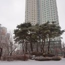 한신114공인중개사사무소 이미지