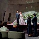 말랑말랑 낭독: 5월의 이야기 | [웨딩데이] 소노펠리체 컨벤션 웨딩 5월의 신부, 본식 후기