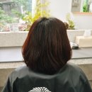 바네뷰티 | 경기 고양 뷰티 <바네헤어>, 전체염색하고 온 후기