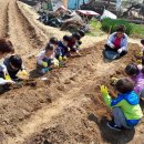 참빛농장 이미지