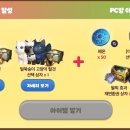 아크피시방 이미지