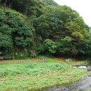 풍천식당 이미지