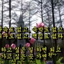 사과향기 이미지