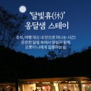 더스테이휴 이미지