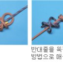 자일 Daum카페