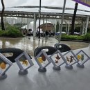 동백호수공원 이미지