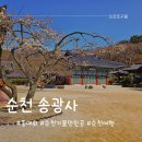 상봉동-061 | 순천 가볼만한곳 송광사 오성식당 능이백숙 내돈내산