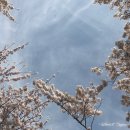 여좌천로 이미지