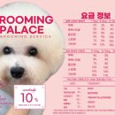 궁전애견 네이버블로그