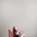 365구구한의원 이미지