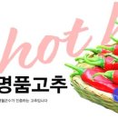영월-8