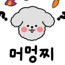 머멍찌 이미지