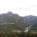 석양 속 생명의 날 이미지