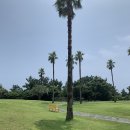 위미모녀분식 | 제주도여행 NO.4 :: 제주 셀프웨딩 촬영 데이, 금호리조트, 위미 모녀분식, 서귀포 물영아리오름