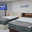 원목장 | 신혼 침대 계약 후기 | 금성침대 부개점에서 매트리스+프레임 100만원 가까이 세이브한 후기
