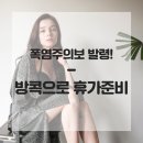 로즈핀치아뜰리에 | 집콕, 방콕으로 여름휴가준비 완료 !