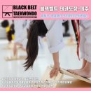 블랙벨트 태권도 도장 이미지