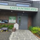 경주 외동 모화 아이와 방문하기 좋은 카페. 카페 썬트리휴 내돈내산 재방문 후기.