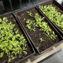 서경석농장 이미지