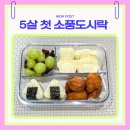 송원서로1L-6 | [육아/도시락] 5살 아이 소풍도시락 후기｜워킹맘의 꾸안꾸 유아도시락 메뉴 조합🍙