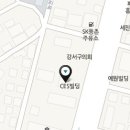 새본내과 Daum카페