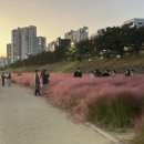 형산강북로 이미지