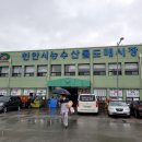 도매농수산물