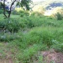 초록농장2 이미지