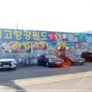 내고향회집 이미지