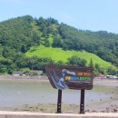 창선 가인리화석산지 이미지