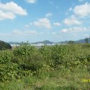 축동주유소 이미지