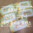 코코펫 | 반려동물물티슈 추천, 코코와보리 펫티슈 직접 써본 후기