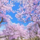 탄현1동 행정복지센터 이미지