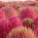 하늘공원 화장실 이미지