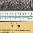 중화요리 마루 이미지