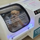 누리종합동물병원 이미지