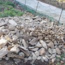 정감농장 이미지