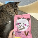 마루덴탈 | 고양이이빨과자 추천 벳플 브이트릿 급여후기