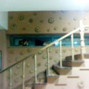 최은빈 카카오 검색결과