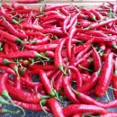 우리고추방앗간 이미지