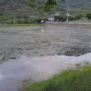 은지가든 이미지