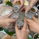 대어횟집 | 여수 현지인 횟집, 대어횟집 도다리회 맛집