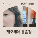 호박미용실 | 제오헤어 등촌점 RC-Ⅱ 클리닉 후기, 등촌역미용실에서 받은 찐 머릿결 관리