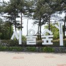 서울숲 무지개터널 앞 이미지