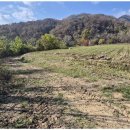 가평부동산공인중개사사무소 이미지