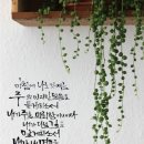 (주)가야드림 이미지