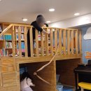 리본테이블 이미지