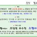 김량장역 티스토리