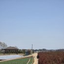 일부1리 이미지